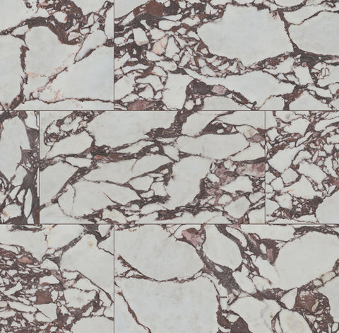 Exotika Violetta 24X48 Polished Porcelain Tile MSI T-G