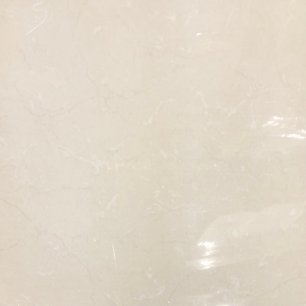 20" x 20" MSI Beige Premium Porcelain Polished High Gloss Wall & Floor Pallets (24 cases /467 sqft per pallet)