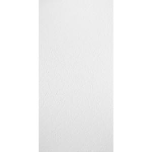 Armstrong CEILINGS Esprit 2 ft. x 4 ft. Lay-in Fiberglass Ceiling Tile ( 32 sq. ft. / case)